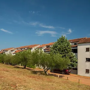 Hostin Garoful Duga Uvala Apartament Pavicini
